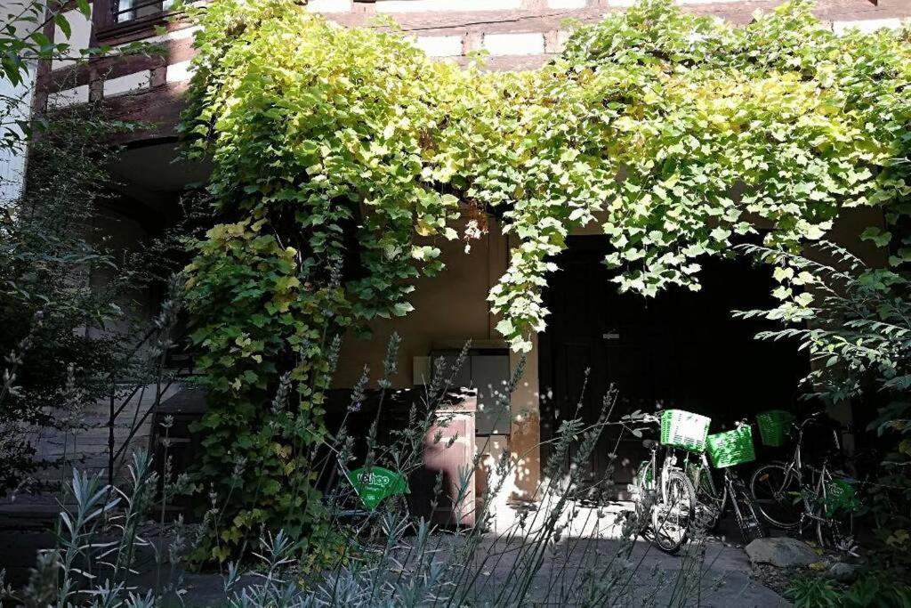 La Chaumiere Apartment Strasbourg Exterior photo